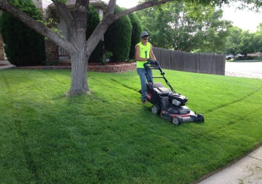 Lawn Service-El Paso TX Landscape Designs & Outdoor Living Areas-We offer Landscape Design, Outdoor Patios & Pergolas, Outdoor Living Spaces, Stonescapes, Residential & Commercial Landscaping, Irrigation Installation & Repairs, Drainage Systems, Landscape Lighting, Outdoor Living Spaces, Tree Service, Lawn Service, and more.